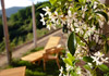 Agriturismi 5 Terre